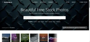 StockSnap.io (stocksnap.io)