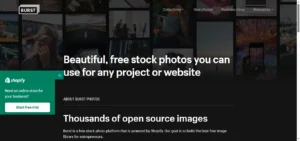 Burst by Shopify (burst.shopify.com)