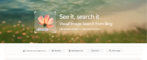 Bing Visual Search